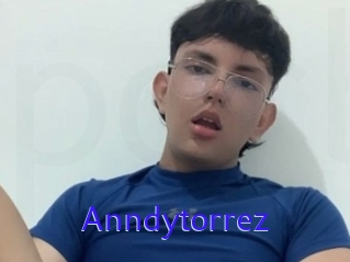 Anndytorrez