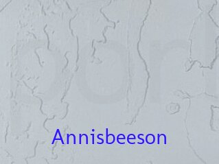 Annisbeeson