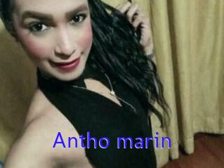 Antho_marin