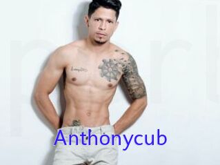 Anthonycub