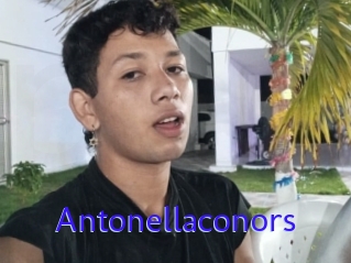 Antonellaconors