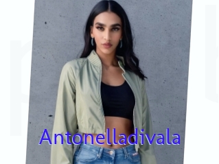 Antonelladivala