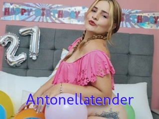 Antonellatender