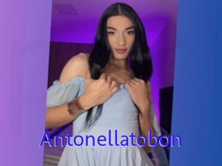 Antonellatobon