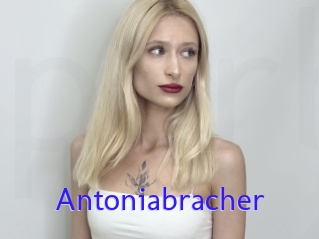 Antoniabracher