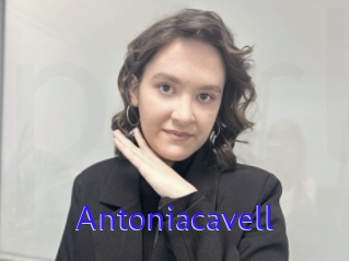 Antoniacavell