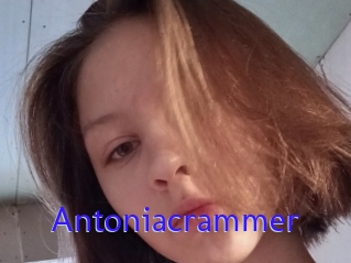 Antoniacrammer