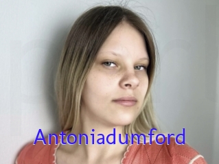 Antoniadumford