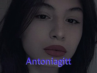 Antoniagitt