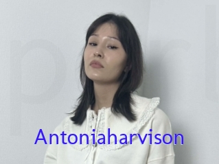 Antoniaharvison