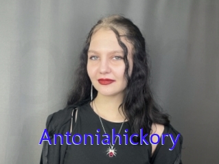 Antoniahickory