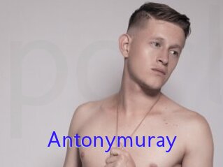 Antonymuray