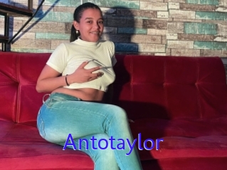 Antotaylor