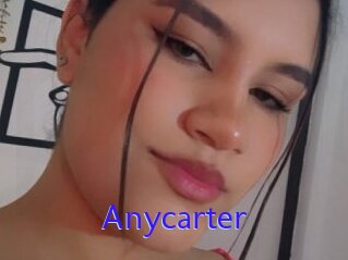 Anycarter