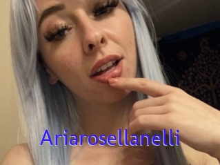 Ariarosellanelli