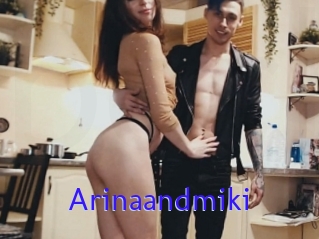 Arinaandmiki