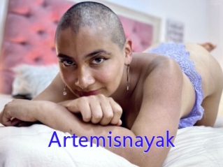 Artemisnayak