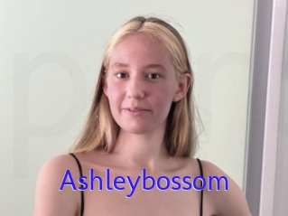 Ashleybossom