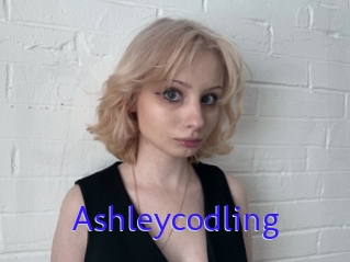 Ashleycodling