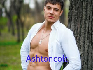 Ashtoncolt