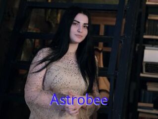 Astrobee