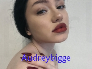 Audreybigge