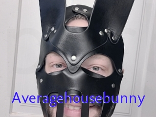 Averagehousebunny