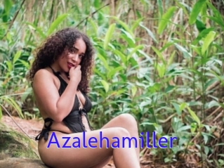 Azalehamiller