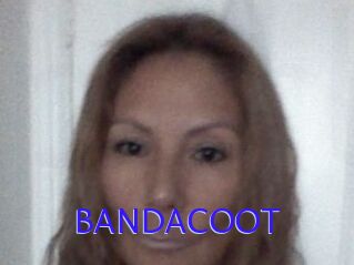 BANDACOOT