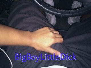 BigBoyLittleDick