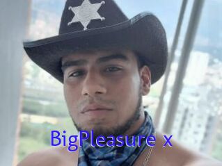 BigPleasure_x