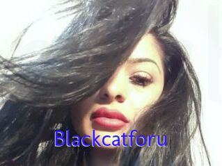 Blackcatforu