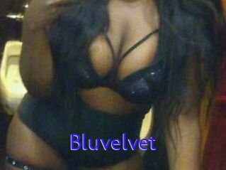 Bluvelvet