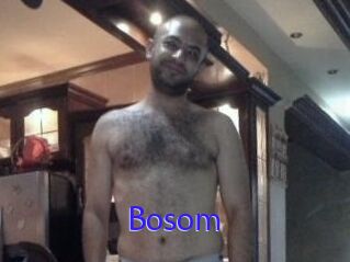 Bosom