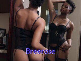 Breerose