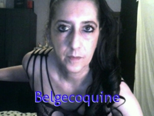 Belgecoquine