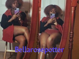 Bellarosepotter