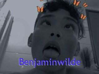 Benjaminwilde