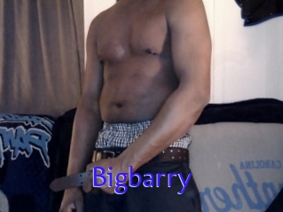 Bigbarry