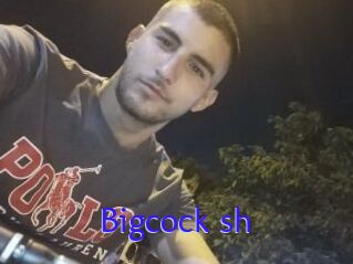 Bigcock_sh