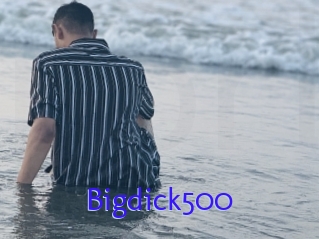 Bigdick500