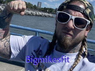 Bigmikesfit