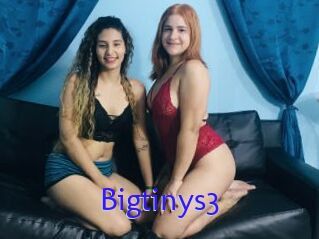 Bigtinys3