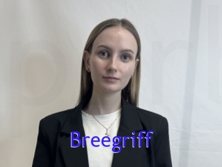 Breegriff