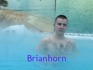 Brianhorn