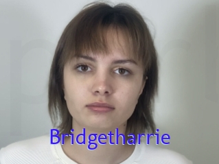 Bridgetharrie