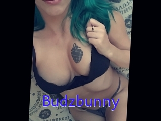 Budzbunny