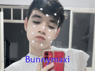 Bunnymaxi