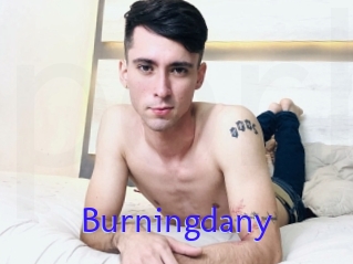 Burningdany