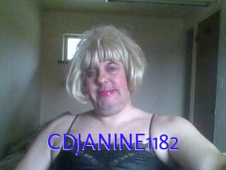 CDJANINE1182